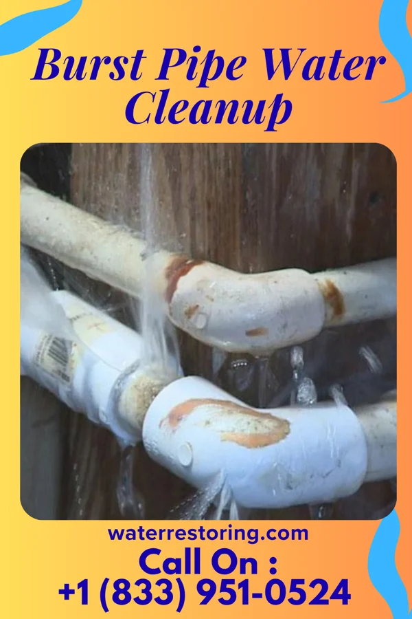 Burst Pipe Water Cleanup in South Portland, ME