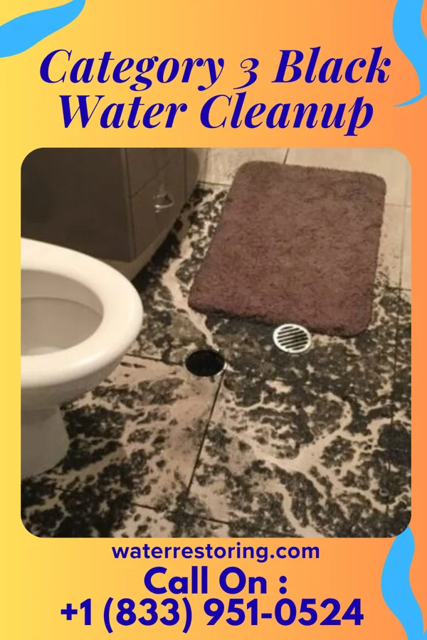 Category 3 Black Water Cleanup in South Portland, ME